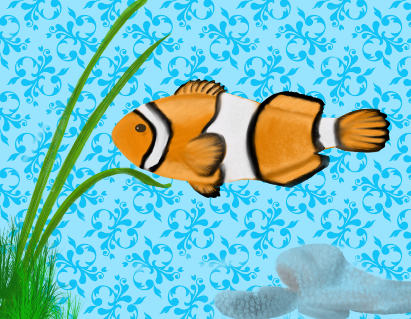 Clown fish