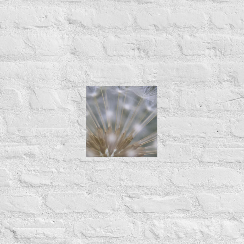 Dandelion 6 Poster - Image 4