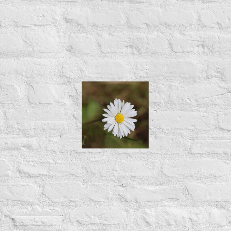 Daisy Poster - Image 4