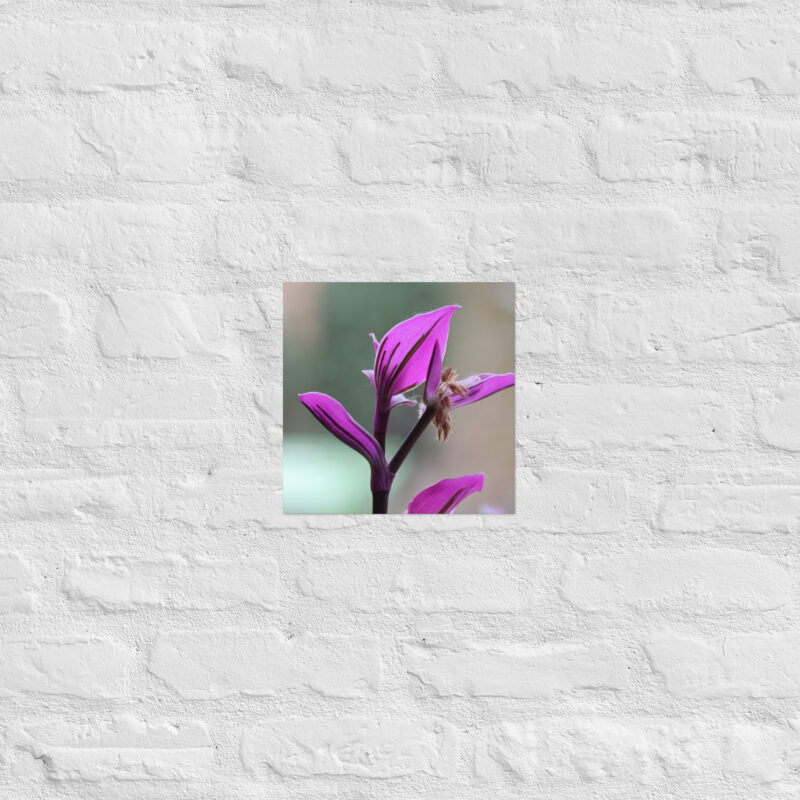 Purple plant poster - Image 4