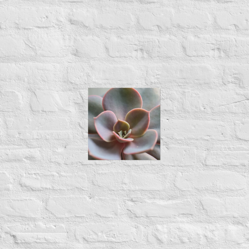 Succulant Poster - Image 3
