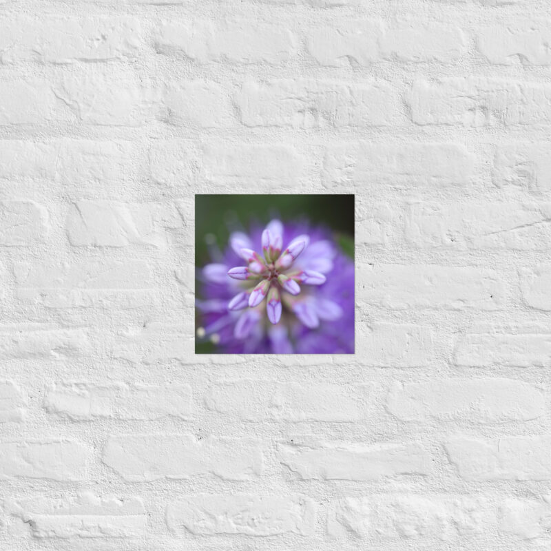 Purple flower poster - Image 3