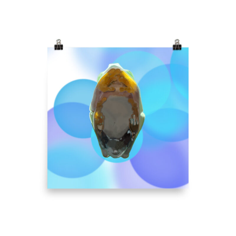 Tree Frog Poster