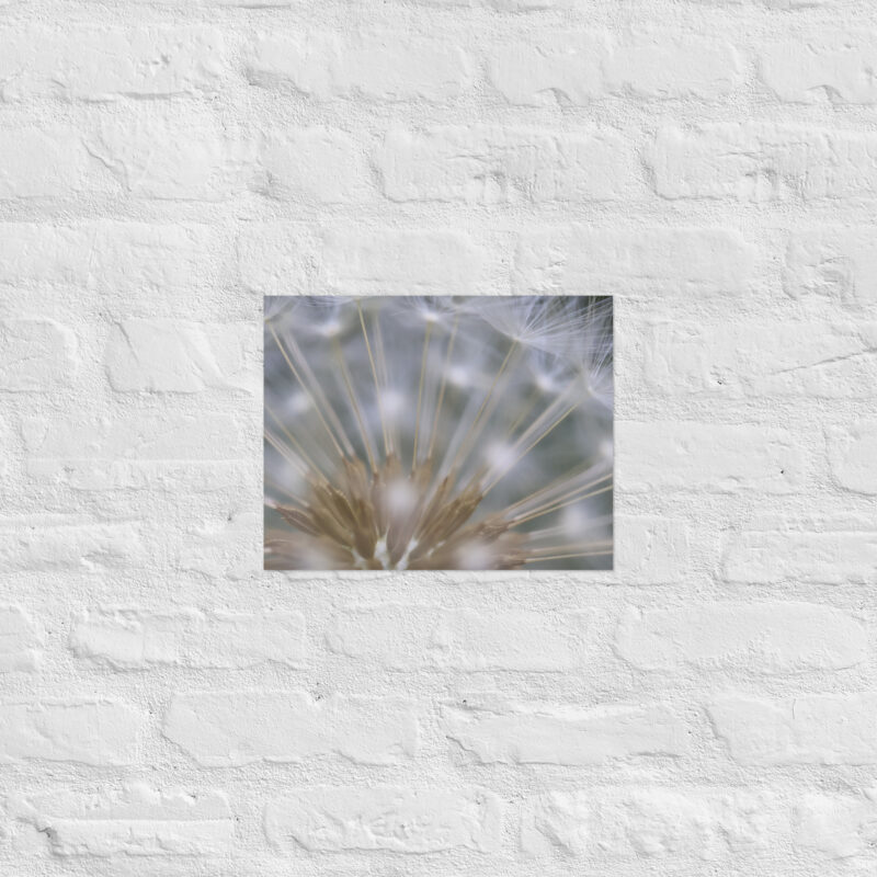 Dandelion 6 Poster - Image 5