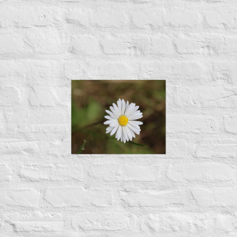 Daisy Poster - Image 5