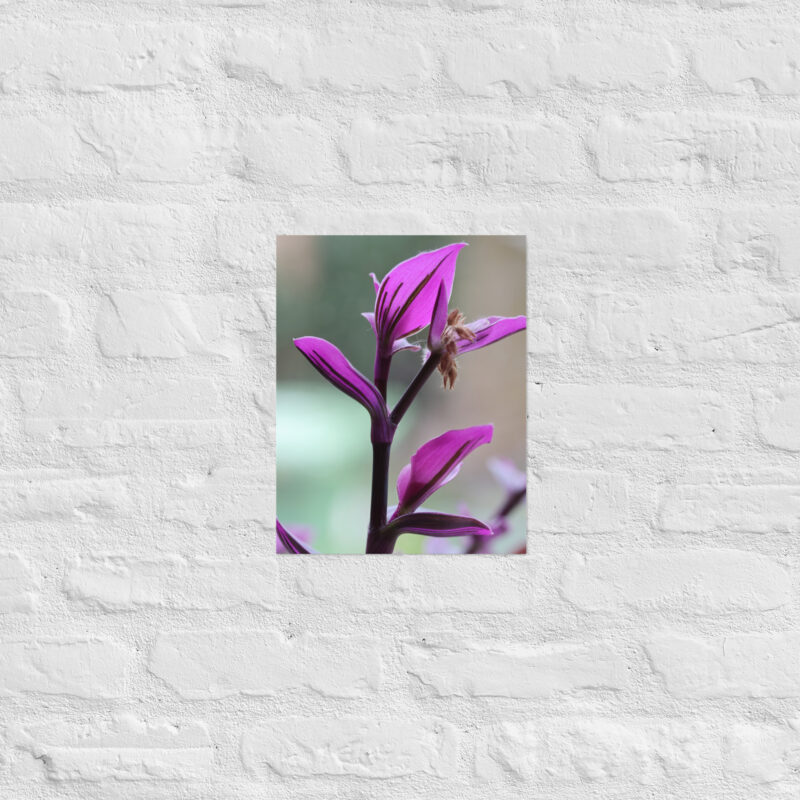 Purple plant poster - Image 5