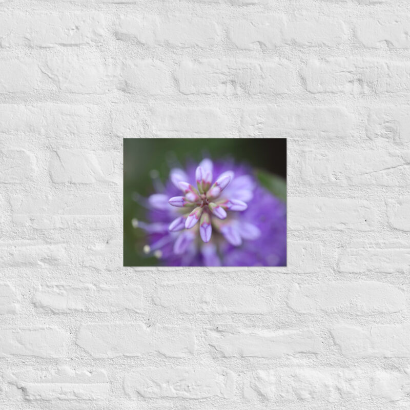 Purple flower poster - Image 4