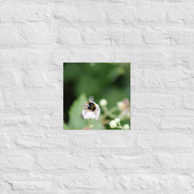 Bumble Bee Poster - Image 6