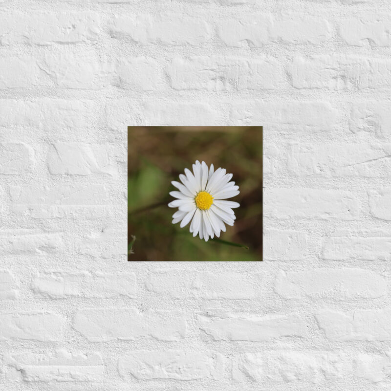 Daisy Poster - Image 6