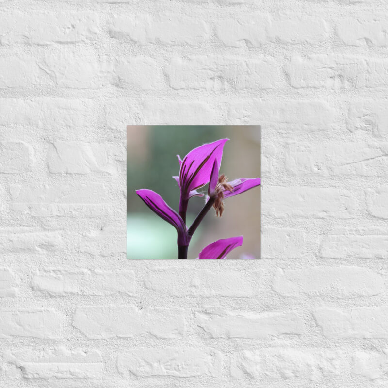 Purple plant poster - Image 6