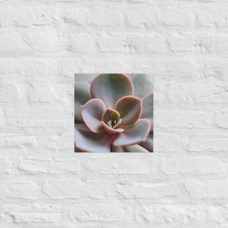 Succulant Poster - Image 5
