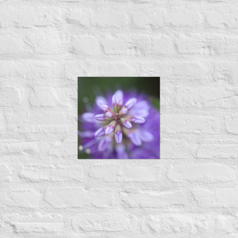 Purple flower poster - Image 5