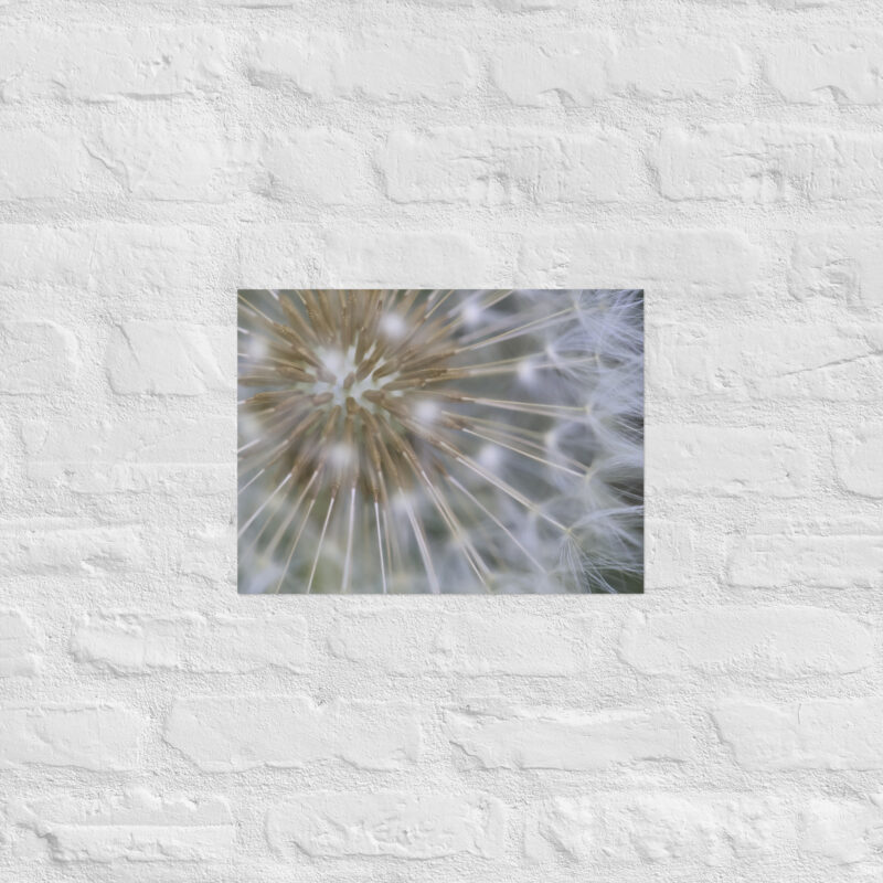 Dandelion Poster - Image 7