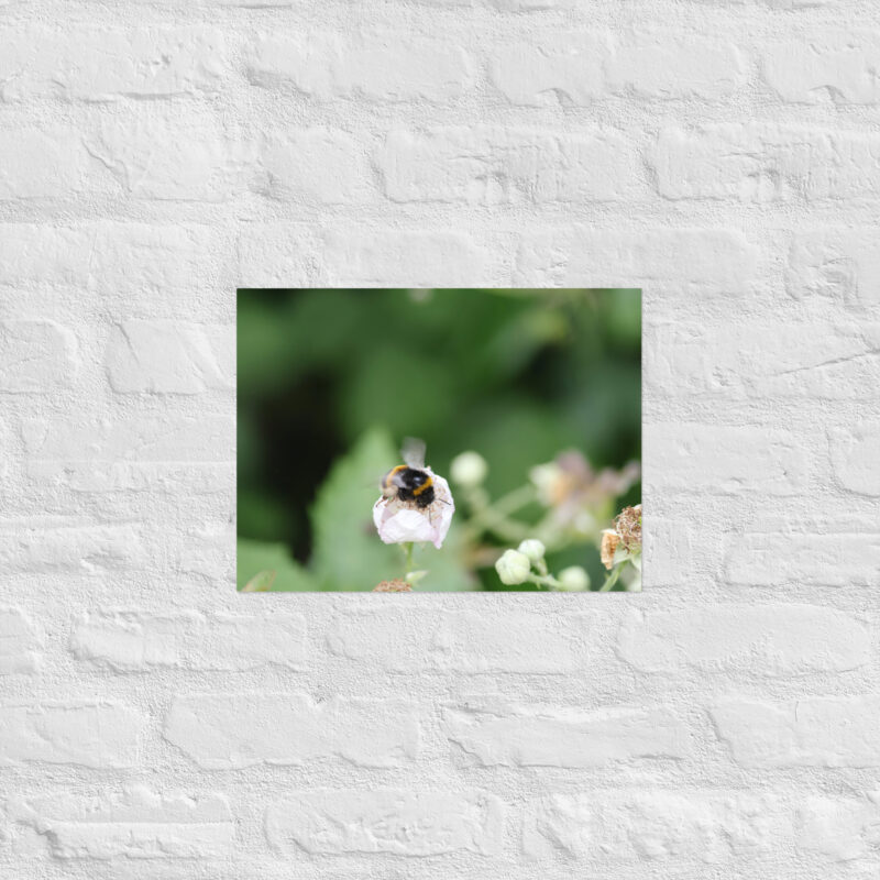 Bumble Bee Poster - Image 7