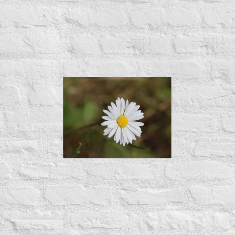 Daisy Poster - Image 7