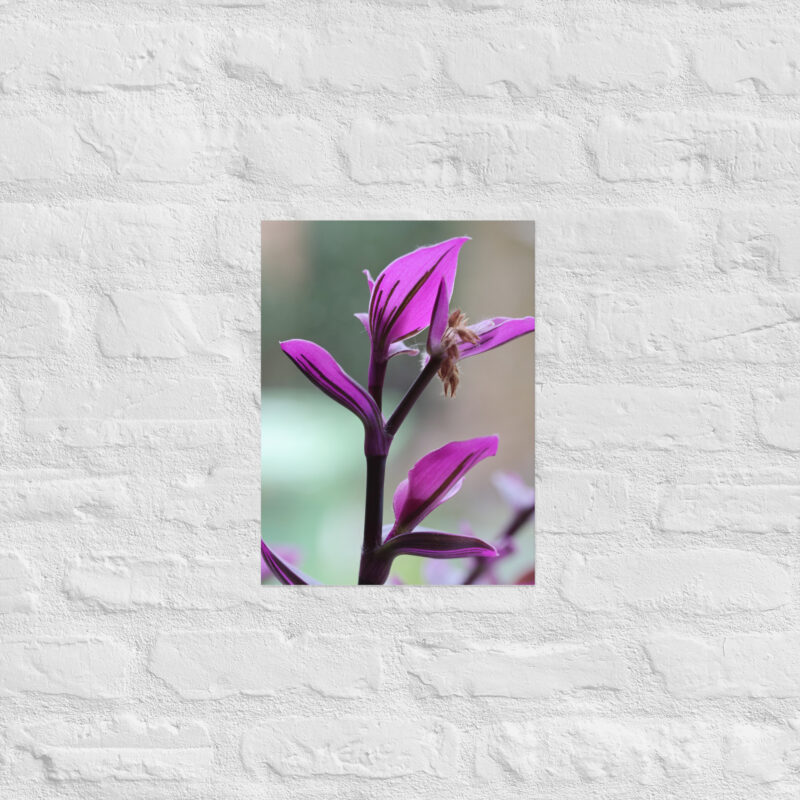 Purple plant poster - Image 7