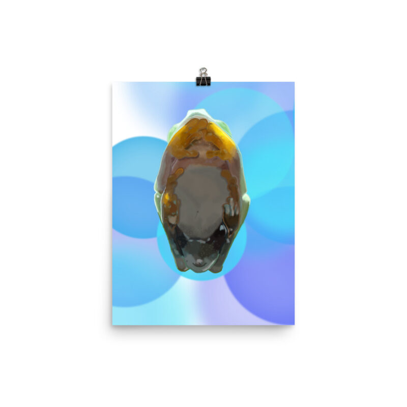 Tree Frog Poster - Image 4