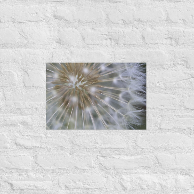 Dandelion Poster - Image 8