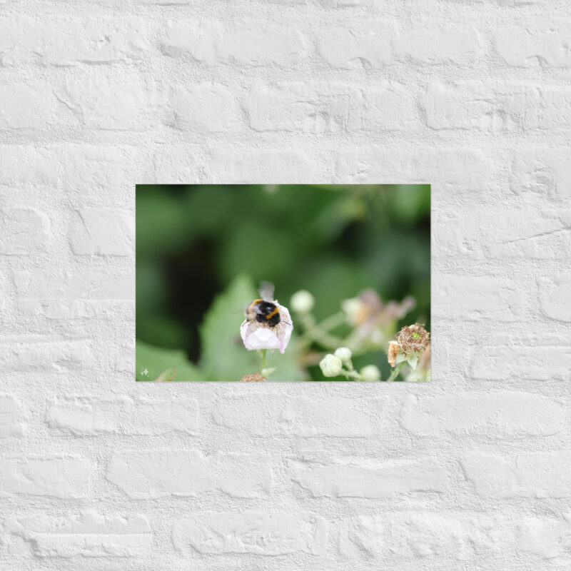 Bumble Bee Poster - Image 8