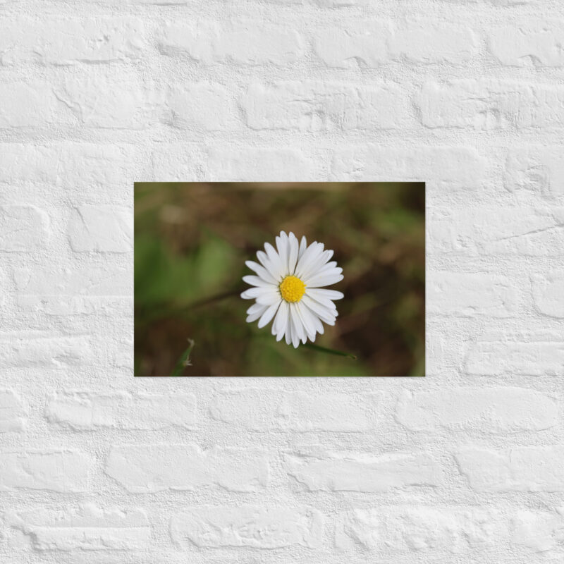 Daisy Poster - Image 8