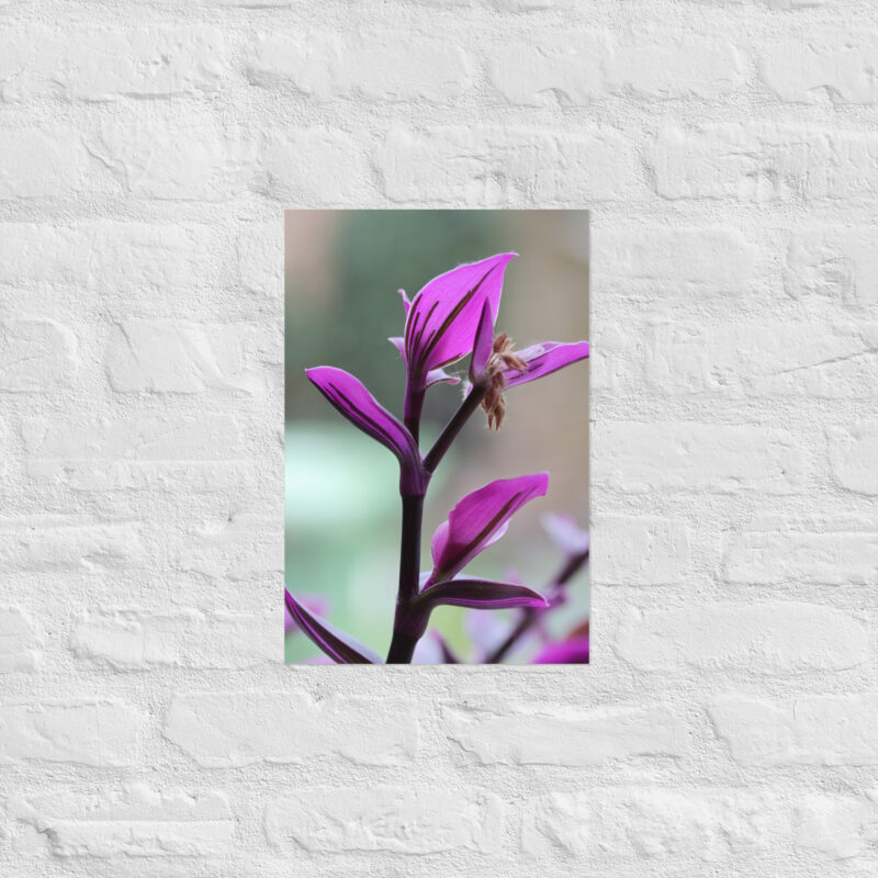 Purple plant poster - Image 8