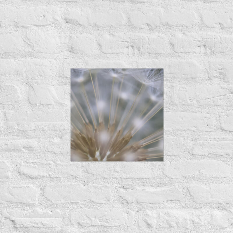 Dandelion 6 Poster - Image 9