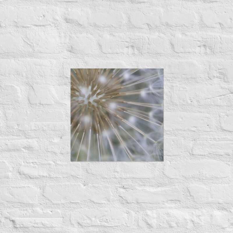 Dandelion Poster - Image 9