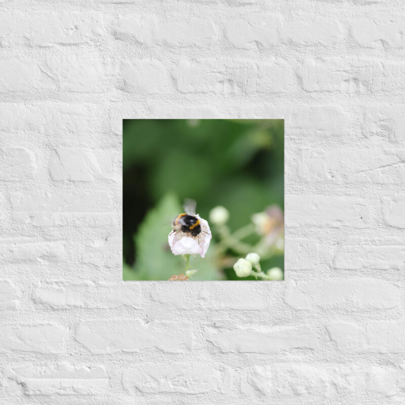 Bumble Bee Poster - Image 9