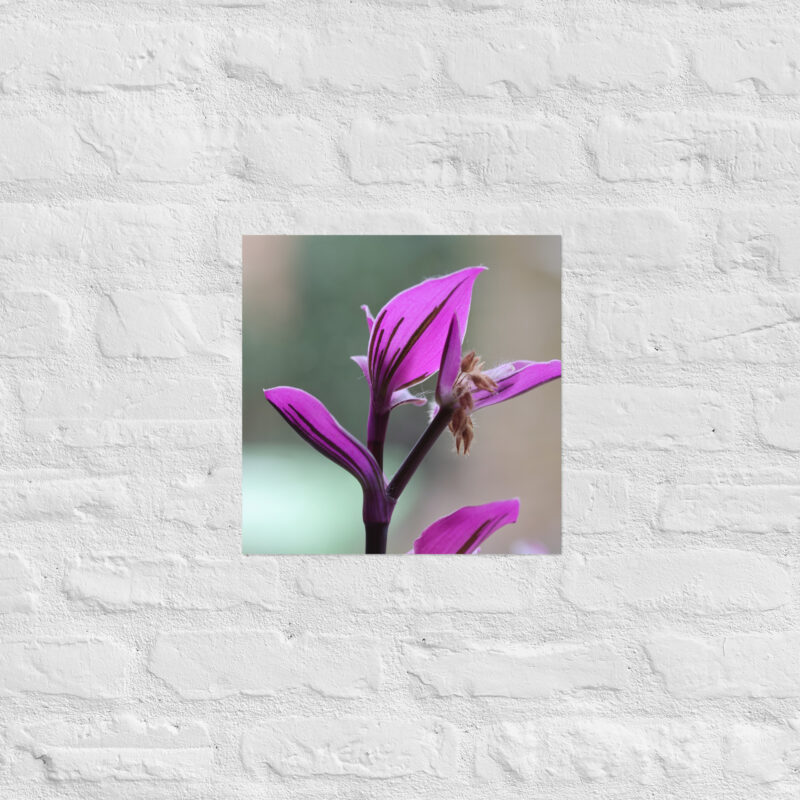 Purple plant poster - Image 9