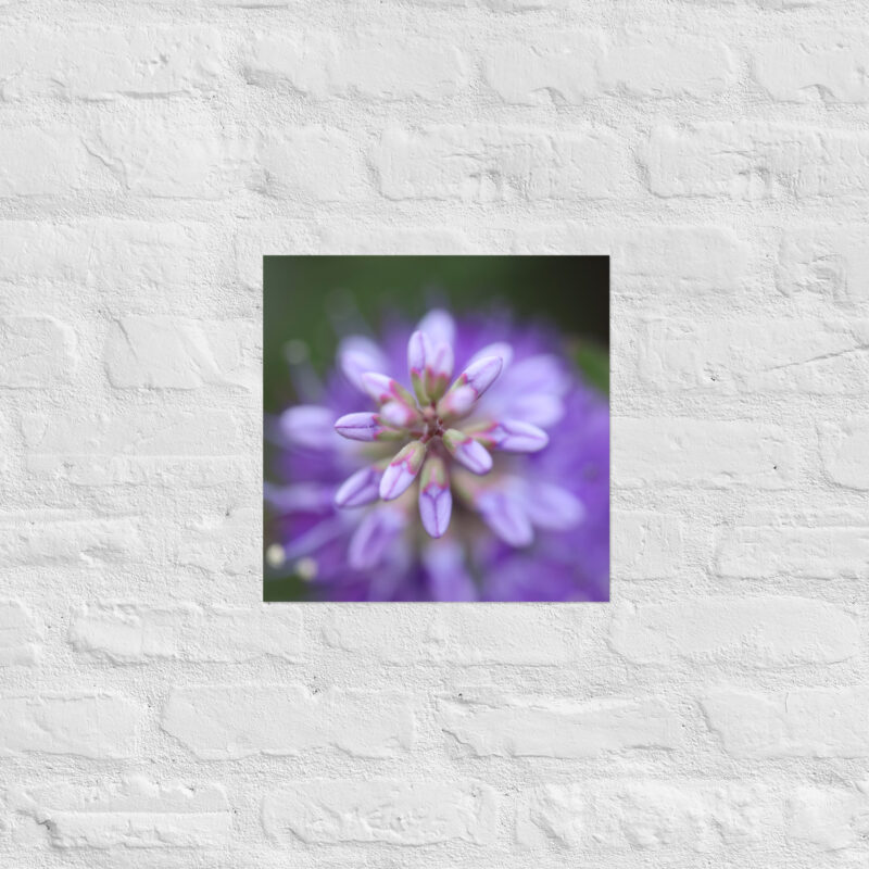 Purple flower poster - Image 6