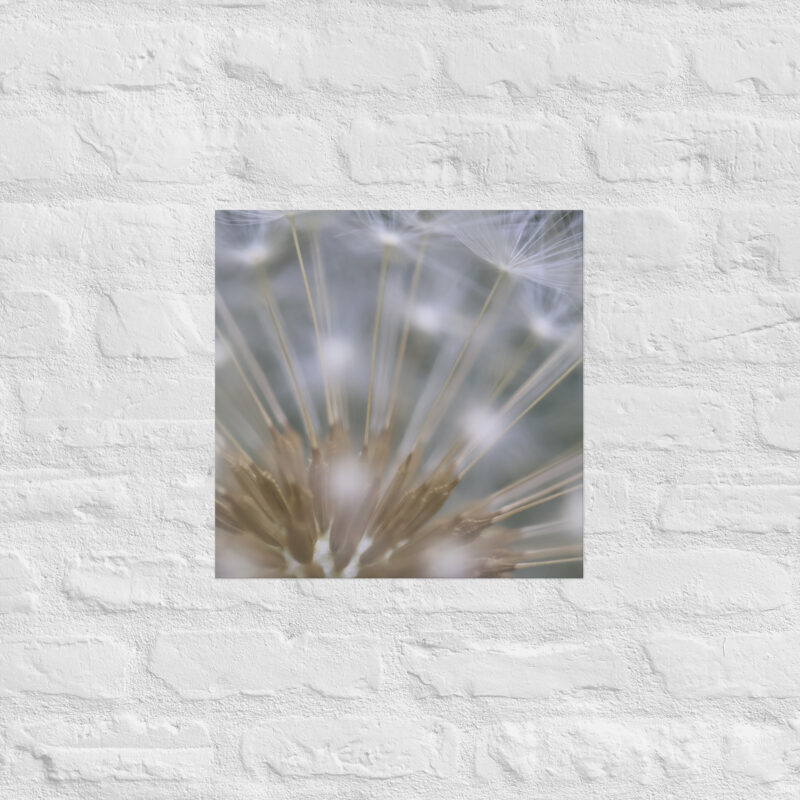 Dandelion 6 Poster - Image 10