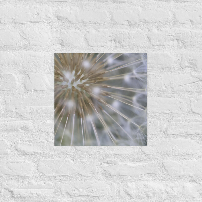 Dandelion Poster - Image 10