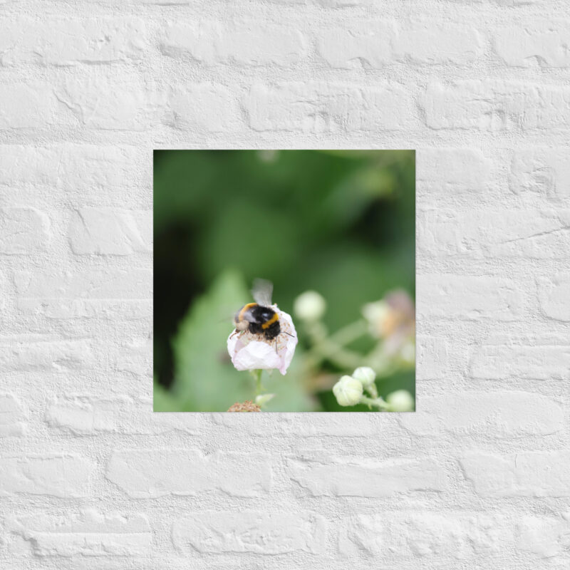 Bumble Bee Poster - Image 10