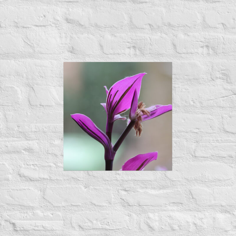 Purple plant poster - Image 10