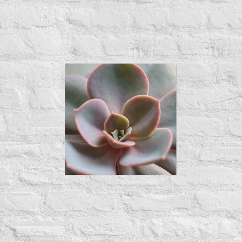 Succulant Poster - Image 6