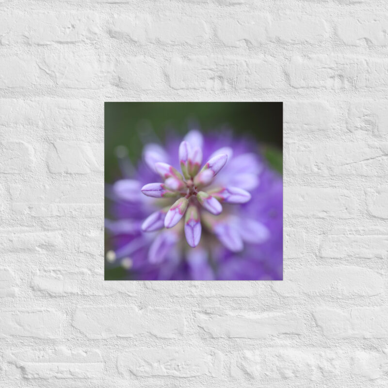 Purple flower poster - Image 7