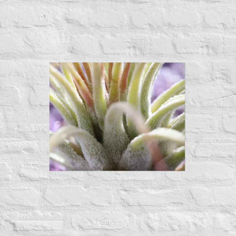 Macro Plant Poster - Image 10