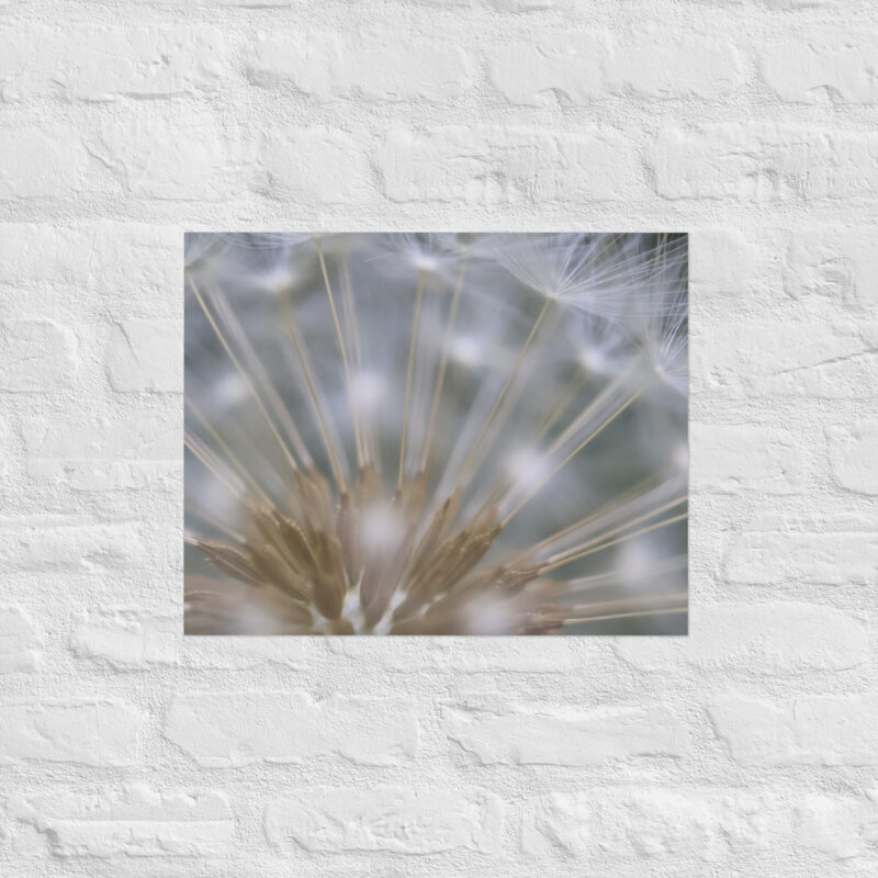 Dandelion 6 Poster - Image 11