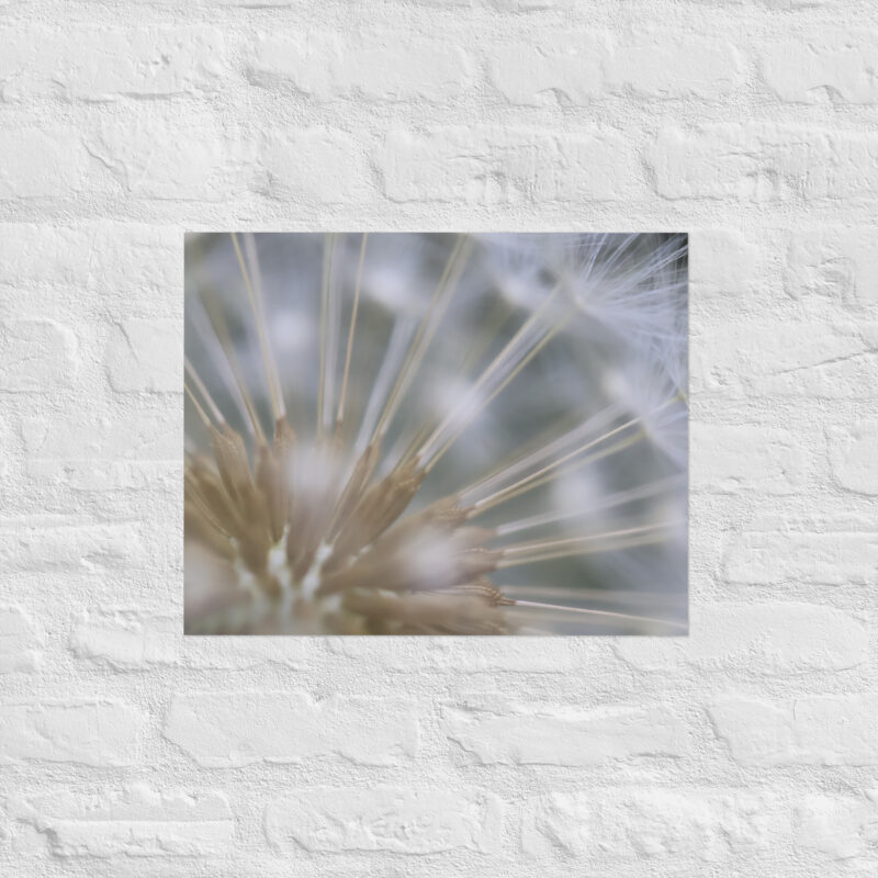 Dandelion 2 Poster - Image 11