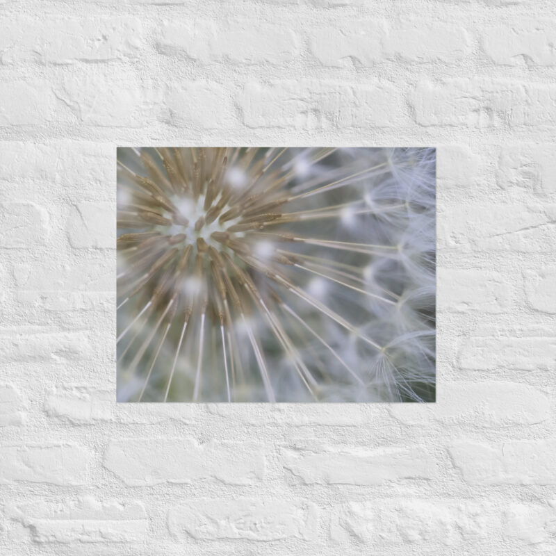 Dandelion Poster - Image 11