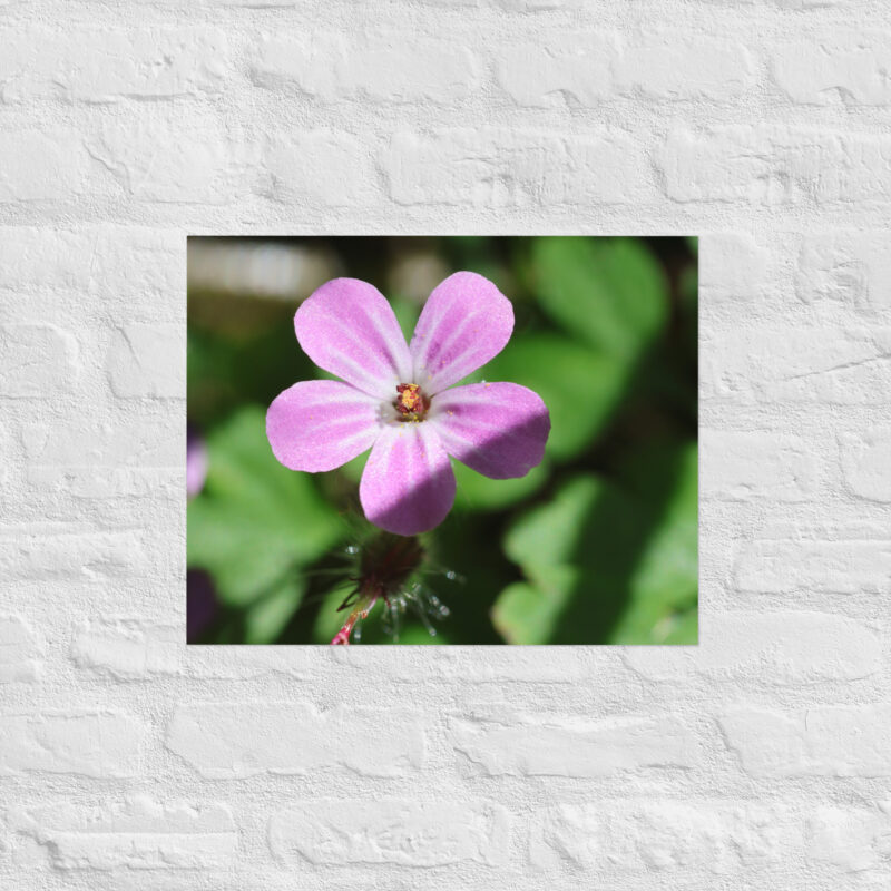 Macro Pink Poster - Image 11