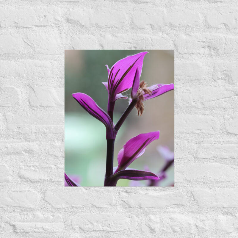 Purple plant poster - Image 11