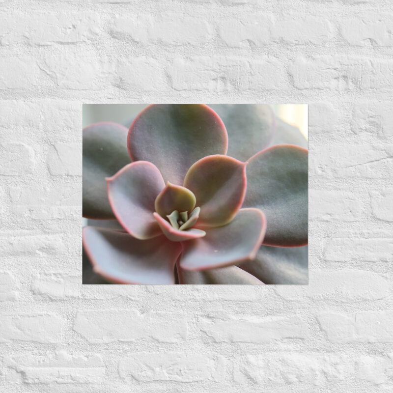 Succulant Poster - Image 7