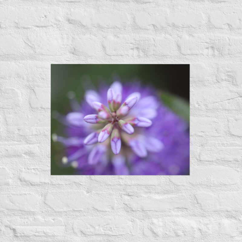 Purple flower poster - Image 8