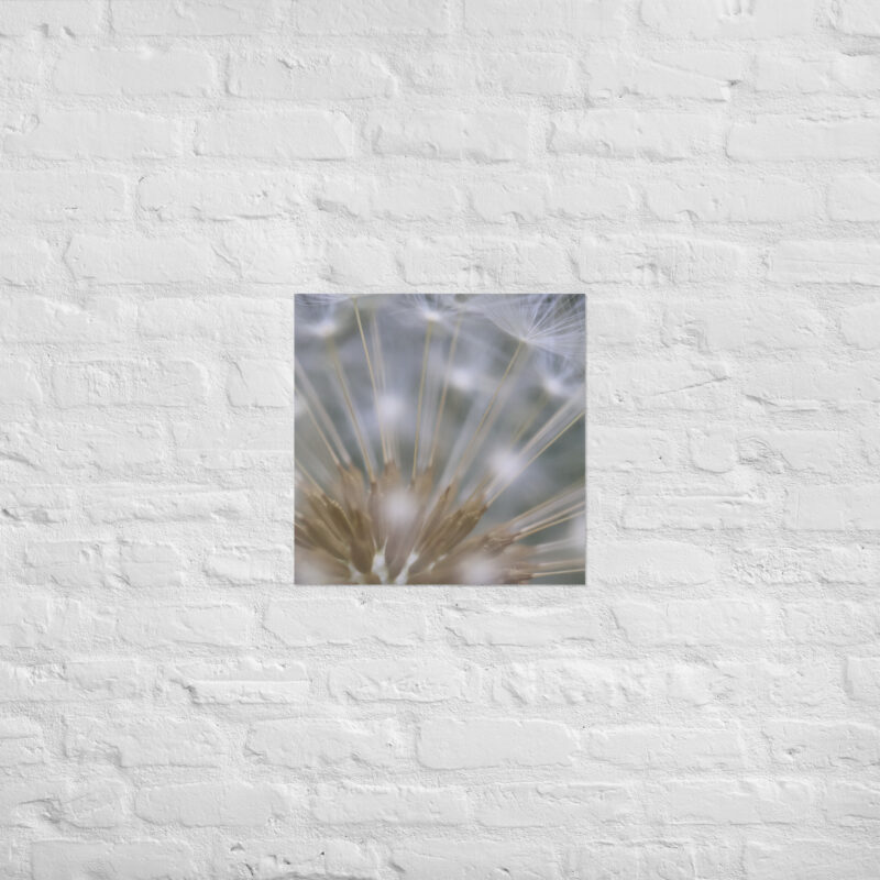 Dandelion 6 Poster - Image 12