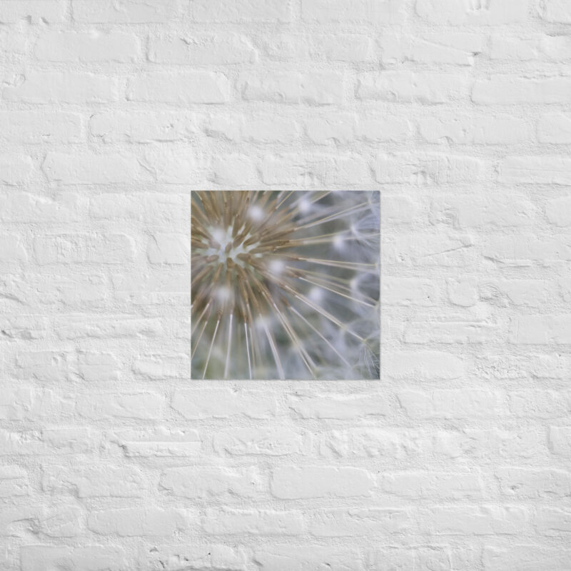 Dandelion Poster - Image 12