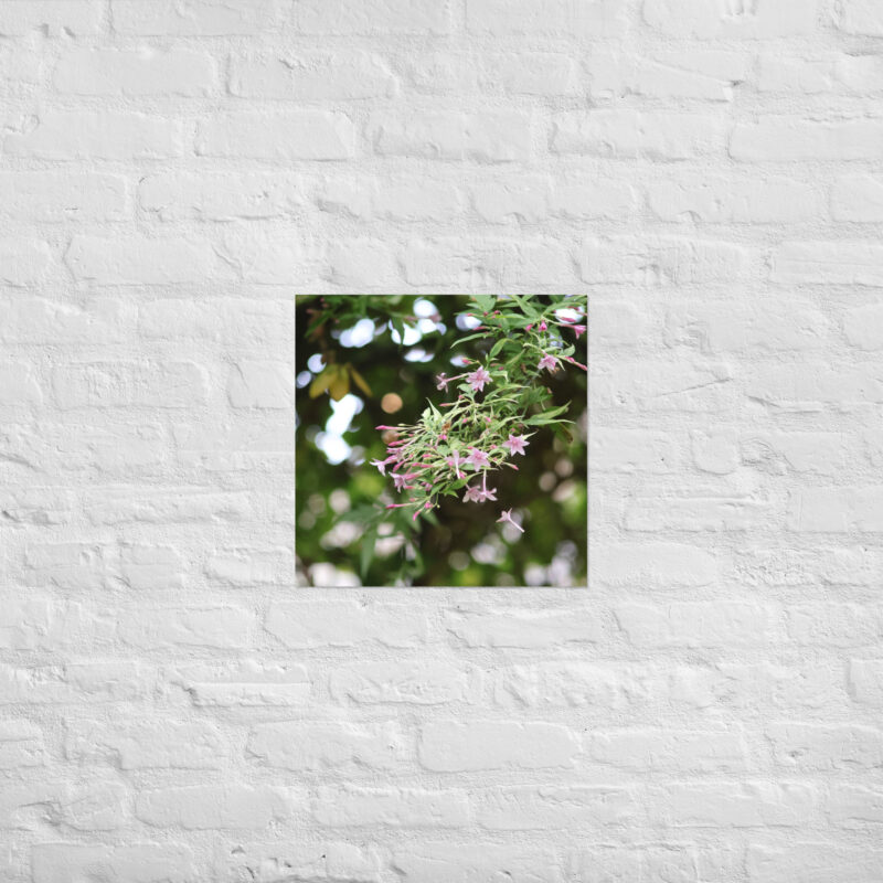 Honeysuckle Poster - Image 12