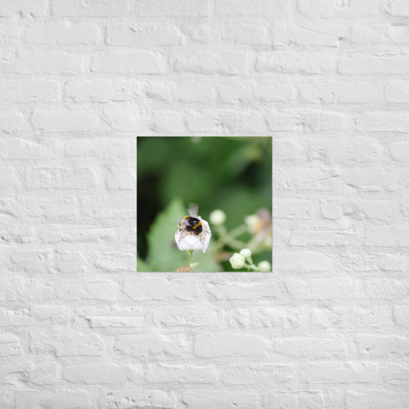 Bumble Bee Poster - Image 12