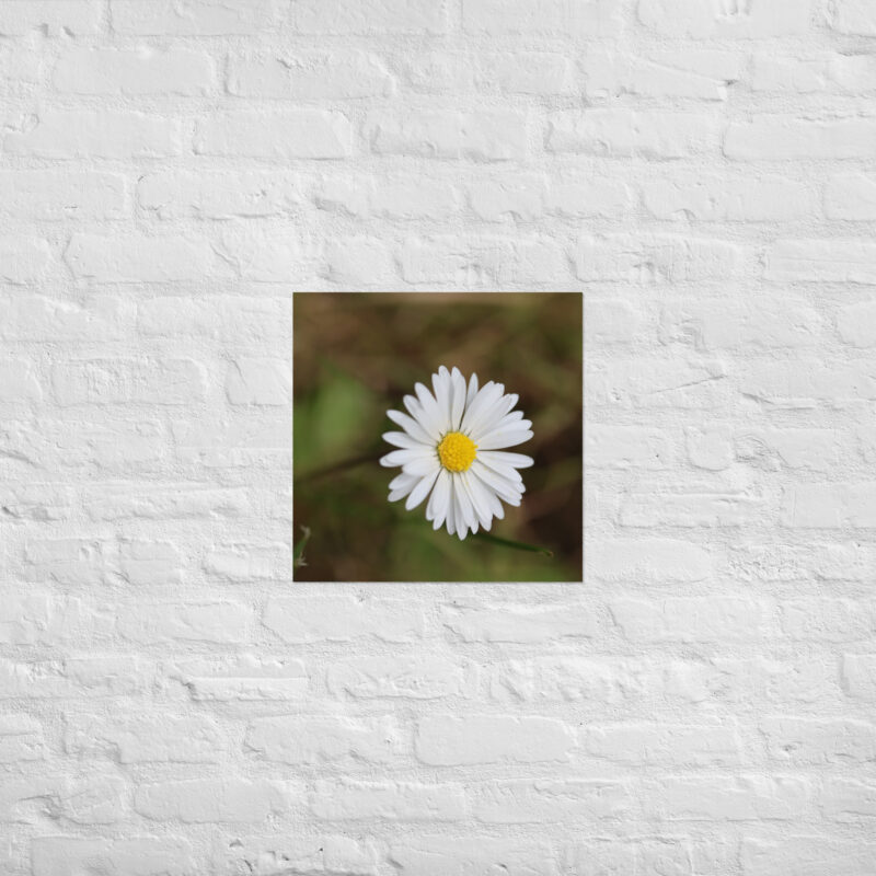 Daisy Poster - Image 12