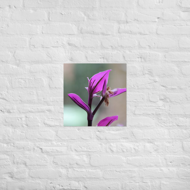 Purple plant poster - Image 12